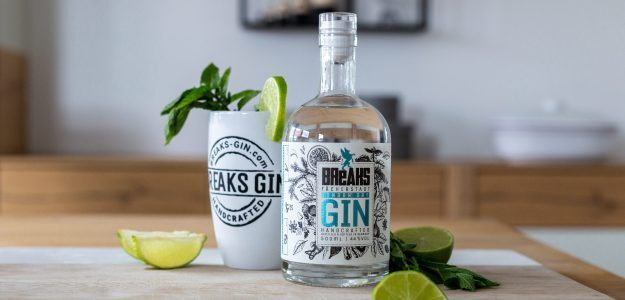 Breaks - Premium Gin
