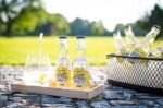 Carton of 12 Summerfeeling Longdrink