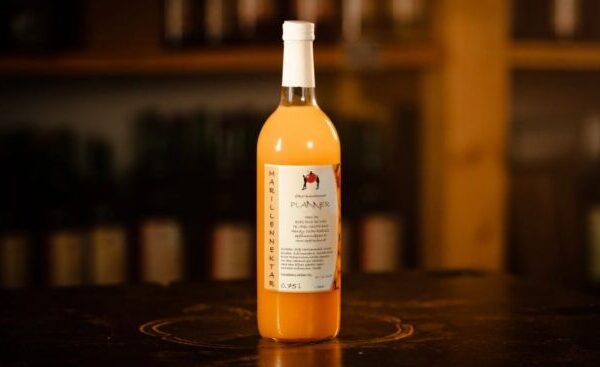 Marillen Nektar 0,75 Liter