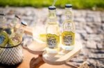 Carton of 12 Summerfeeling Longdrink - Image 3
