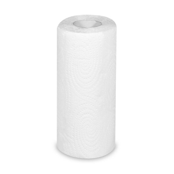 Küchenrollen Tissue 2-lagig 'Harmony EveryDay" O10,5cm 11m 50 Blatt, 2 Stk.