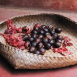 Urwald Macis Bio, Baron de Sel – Bild 2