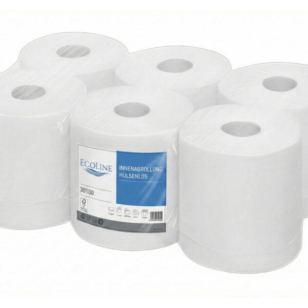 Ecoline Handtuchpapier Innenabrollung 2-lagig, hülsenlos, Zellstoff, 450 Abrisse, 6 Rollen