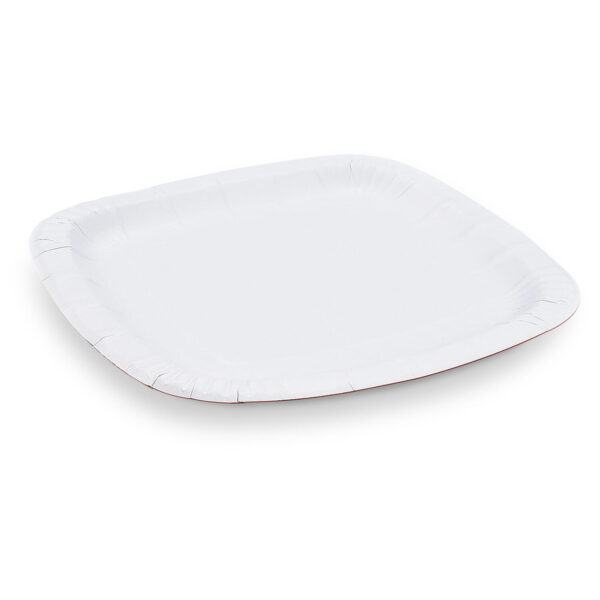 Pappteller aus Frischfaser quadratisch 24 x 24 cm fettdicht, 100 Stk.