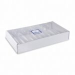 Einweg-Sektglas Champagnerglas 100ml, PS, 1 tlg., transparent glasklar, 10 Stk. – Bild 2