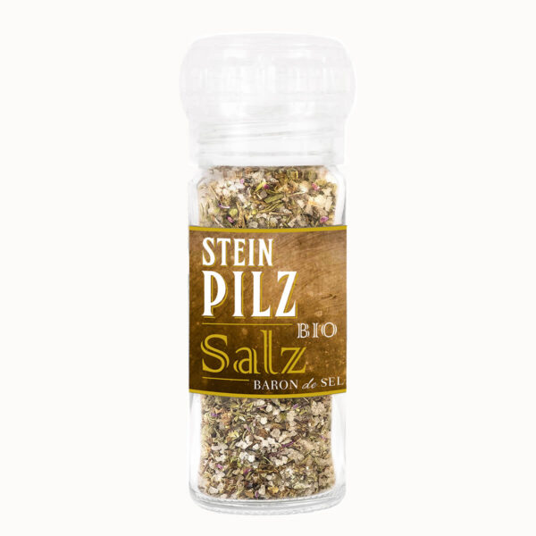 Steinpilz Salz