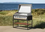 Skeldervik Freistehender Gasgrill