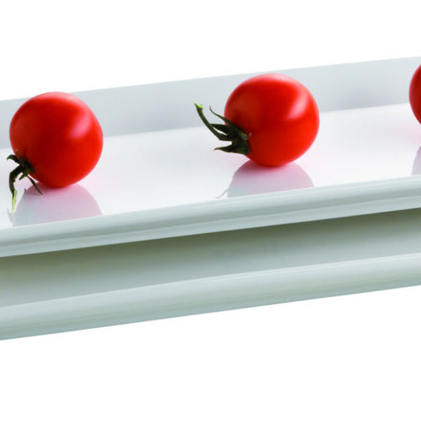 Mäser TRENDY LINE 2er Teller rechteckig 38x13 cm