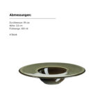 Mäser AMBITIOUS Gourmetteller 19 cm GRÜN, 4er Set