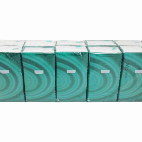 Semy Care Taschentücher sanft, je 10 Stück unterverpackt, 4-lagig weiß, 100 Stk.
