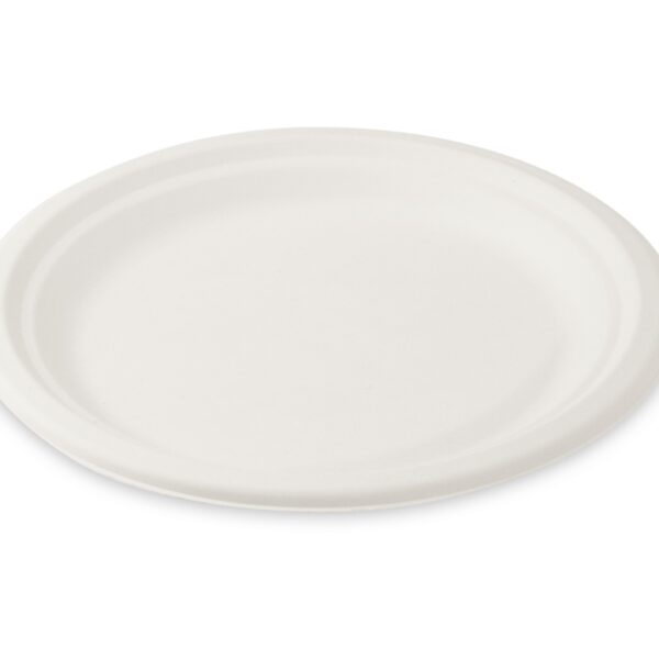 Grillteller Fleischteller rund aus Zuckerrohr Bagasse O 22 cm, 50 Stk.