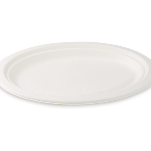 Servierteller Fleischteller oval aus Zuckerrohr-Bagasse 26 x 20 cm, 50 Stk.