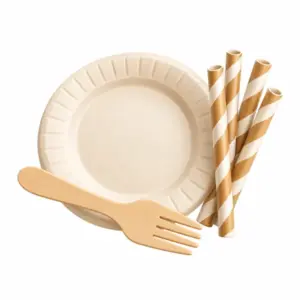 Einwegteller, Holzgabel und Papiertrinkhalme als 3D-Illustration